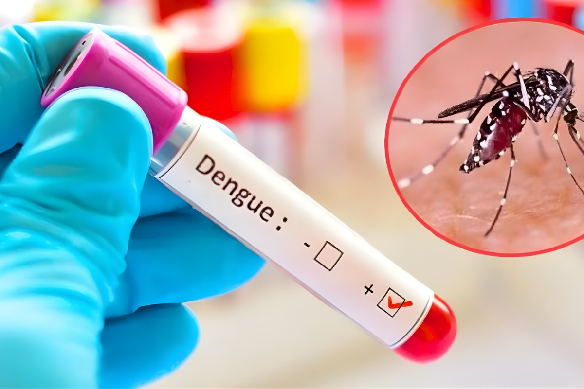 ডেঙ্গু আতঙ্ক: এক দিনে জনের ১০ মৃত্যু