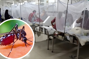 ডেঙ্গু পরিস্থিতি অবনতি: এক সপ্তাহে মৃত্যু ১৯, আক্রান্ত ছাড়িয়েছে ছয় হাজার