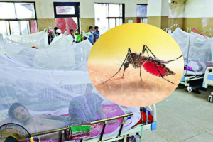 ডেঙ্গুতে আরও ২ মৃত্যু, হাসপাতালে ভর্তি ৭০৫