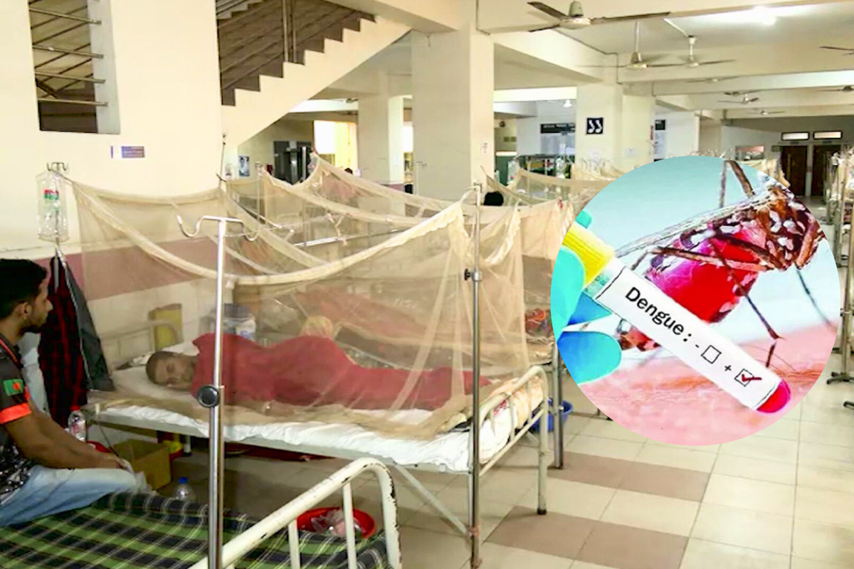 ডেঙ্গুতে এক দিনে ৮ জনের মৃত্যু, হাসপাতালে ভর্তি ৭৭৮