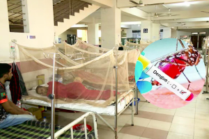 ডেঙ্গুতে এক দিনে ৮ জনের মৃত্যু, হাসপাতালে ভর্তি ৭৭৮