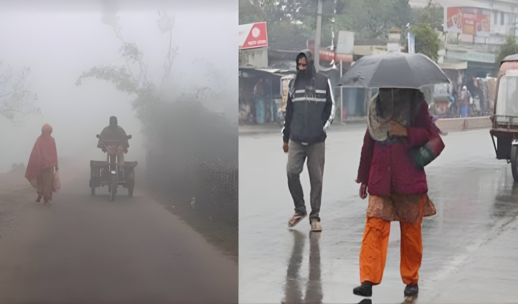 ঢাকায় হালকা বৃষ্টির সম্ভাবনা, তাপমাত্রা কমতে পারে 4 ঢাকায় হালকা বৃষ্টির সম্ভাবনা তাপমাত্রা কমতে পারে 1761967555 ঢাকায় হালকা বৃষ্টির সম্ভাবনা, তাপমাত্রা কমতে পারে