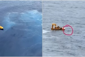 সমুদ্রে ভেসে যাওয়া মেয়েকে বাঁচাতে গিয়ে প্রাণ গেল বাবার