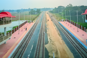 সাতকানিয়ায় নাশকতার চেষ্টায় গাছ ফেলা