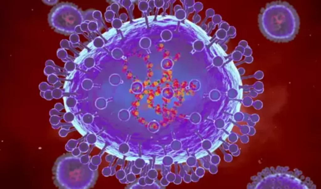 সিলেটে নতুন ধরনের ভাইরাস আতঙ্ক সৃষ্টি করছে শনাক্ত প্রায় ৪০০ 1762948907 সিলেটে নতুন ধরনের ভাইরাস আতঙ্ক সৃষ্টি করছে, শনাক্ত প্রায় ৪০০