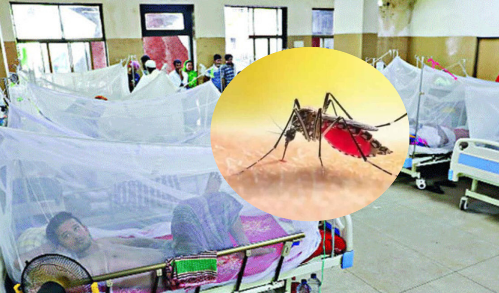 ২৪ ঘণ্টায় ডেঙ্গুতে আরও ৩ জনের মৃত্যু হাসপাতালে ভর্তি ৬১৫ 1764156890 ২৪ ঘণ্টায় ডেঙ্গুতে আরও ৩ জনের মৃত্যু, হাসপাতালে ভর্তি ৬১৫