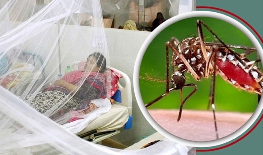 ২৪ ঘণ্টায় ডেঙ্গুতে এক মৃত্যু হাসপাতালে ভর্তি ৬৩৩ জন 1764069420 ২৪ ঘণ্টায় ডেঙ্গুতে এক মৃত্যু, হাসপাতালে ভর্তি ৬৩৩ জন