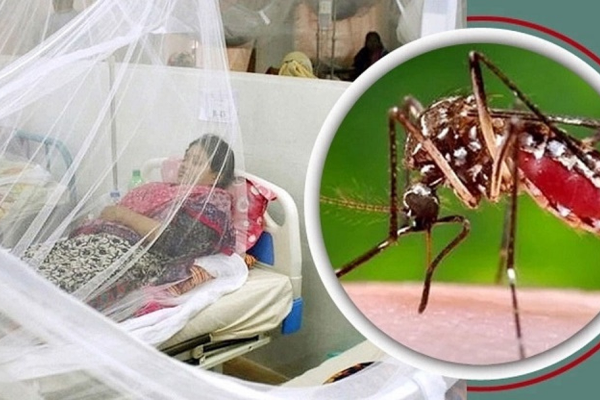 ২৪ ঘণ্টায় ডেঙ্গুতে এক মৃত্যু, হাসপাতালে ভর্তি ৬৩৩ জন
