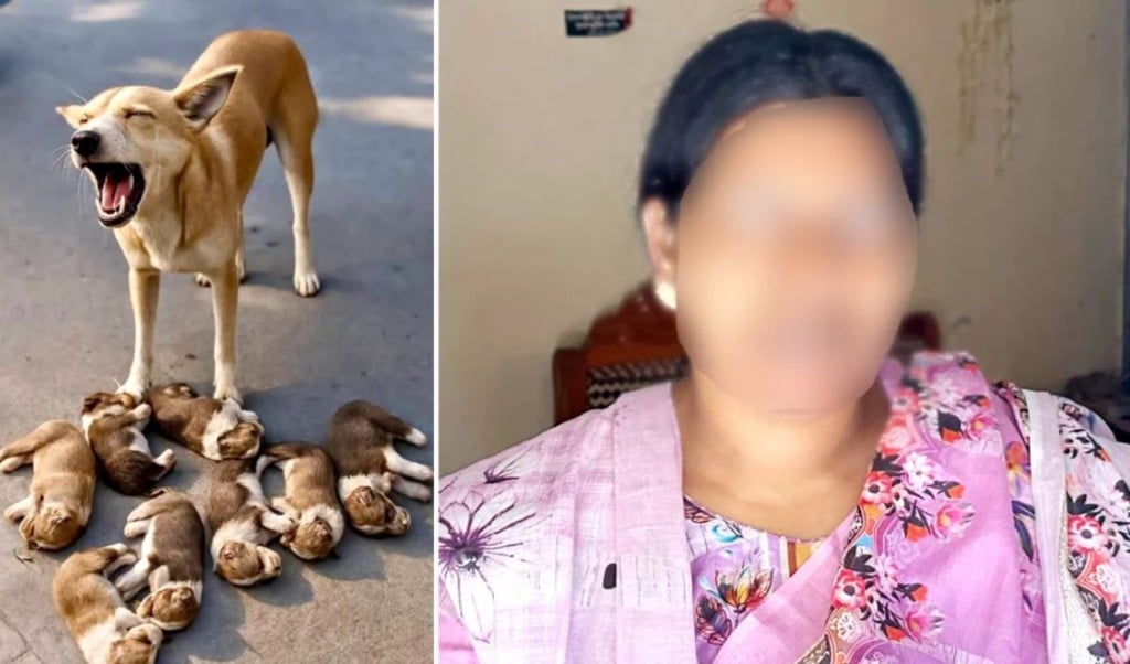 Case Filed Over Killing of Eight Puppies in Ishwardi 1764733968 ঈশ্বরদীতে আট কুকুরছানা হত্যার ঘটনায় মামলা