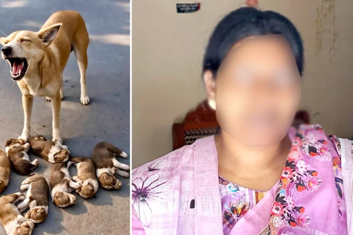 ঈশ্বরদীতে আট কুকুরছানা হত্যার ঘটনায় মামলা