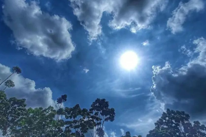 কুয়াশা ভেদ করে দেখা মিলল সূর্যের, স্বস্তিতে রাজধানী-বাসী