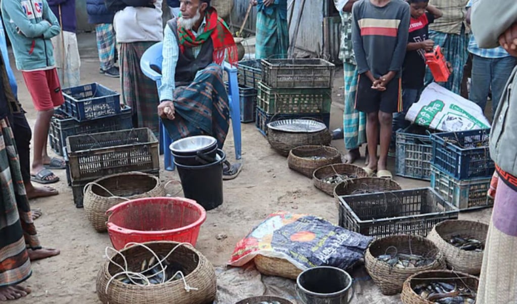 Morning Haor–River Fish Market Draws Crowds Finishes in Two Hours 1764555125 হাওরের তাজা মাছের হাট, দুই ঘণ্টায় শেষ বিক্রি