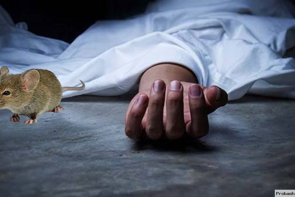 ইঁদুর মারার ট্যাবলেট খেয়ে দুইজনের মৃত্যু
