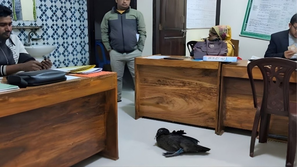 কিস্তি না পেয়ে গৃহস্থের হাঁস নেওয়ায় বিতর্ক 1765396845 কিস্তি না পেয়ে গৃহস্থের হাঁস নেওয়ায় বিতর্ক