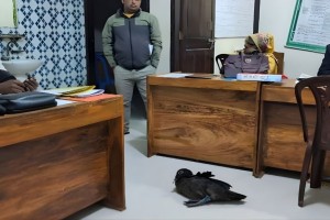 কিস্তি না পেয়ে গৃহস্থের হাঁস নেওয়ায় বিতর্ক