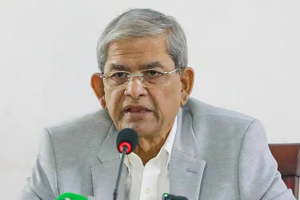 জাতিকে বিভক্ত করছে মব সন্ত্রাস—মির্জা ফখরুল