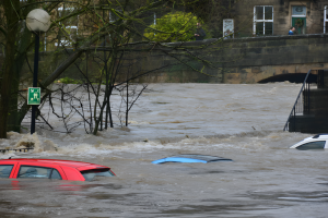 দক্ষিণ থাইল্যান্ডে বন্যা: বিমা দাবির প্রক্রিয়া দ্রুত করার নির্দেশ