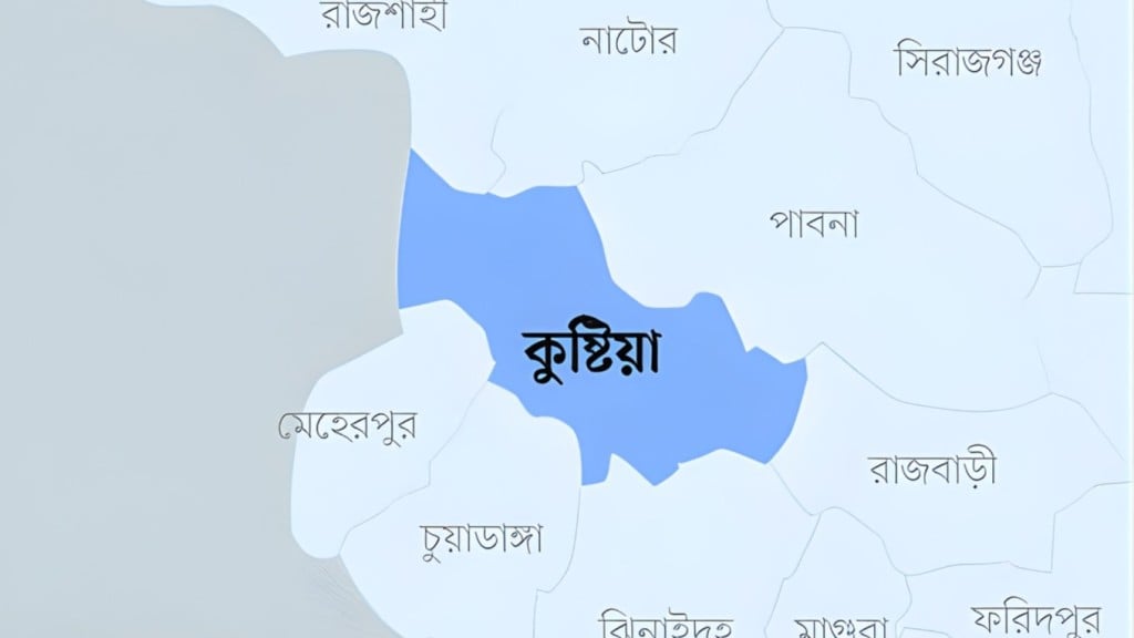 দৌলতপুরে প্রকাশ্যে গুলি চালিয়ে কৃষক হত্যা মোটরসাইকেল গ্যাংয়ের হামলায় আহত আরও দুই 1764901758 দৌলতপুরে প্রকাশ্যে গুলি চালিয়ে কৃষক হত্যা: মোটরসাইকেল গ্যাংয়ের হামলায় আহত আরও দুই