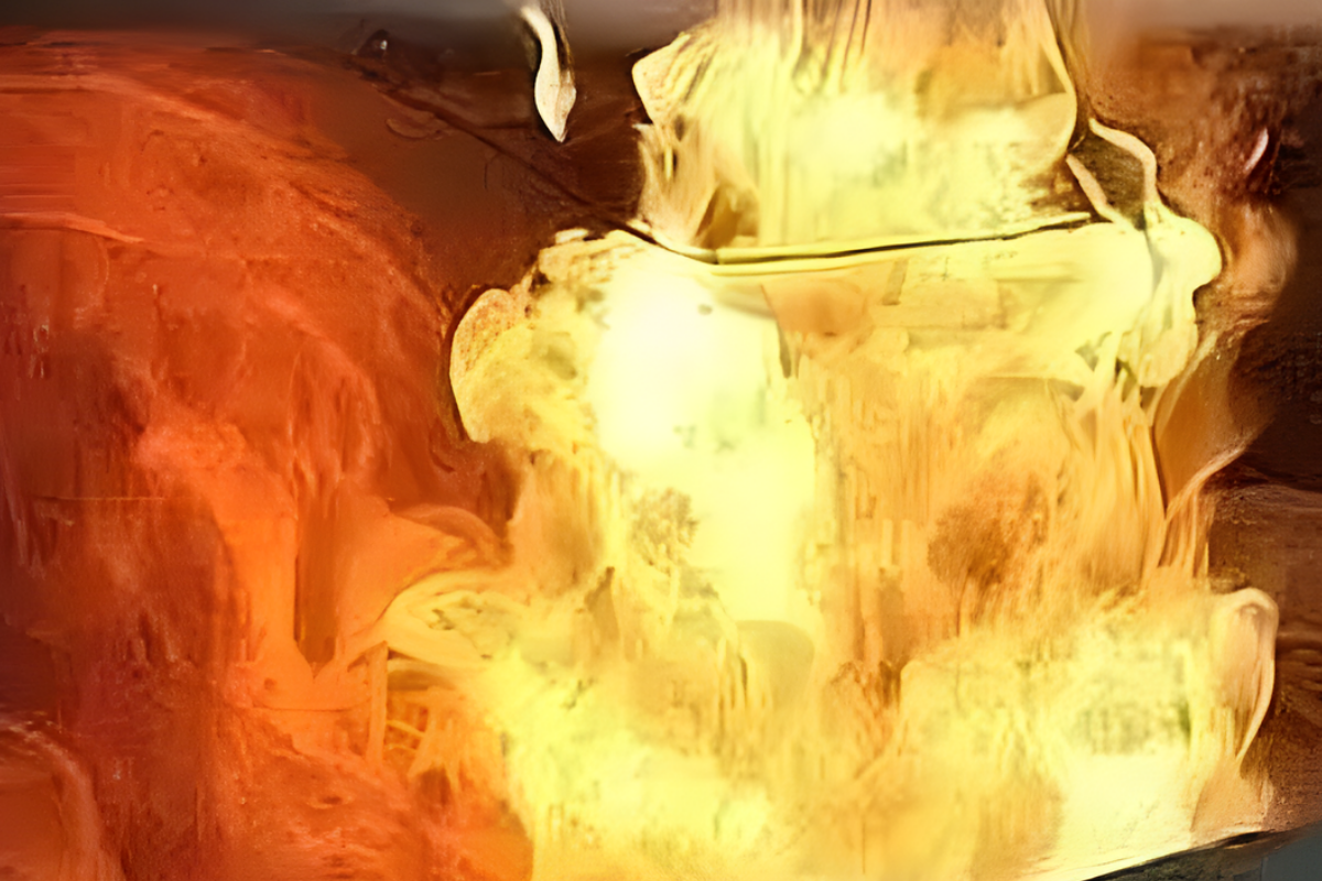 নোয়াখালীতে পার্কিং বাসে আগুনের ঘটনায় ভয়