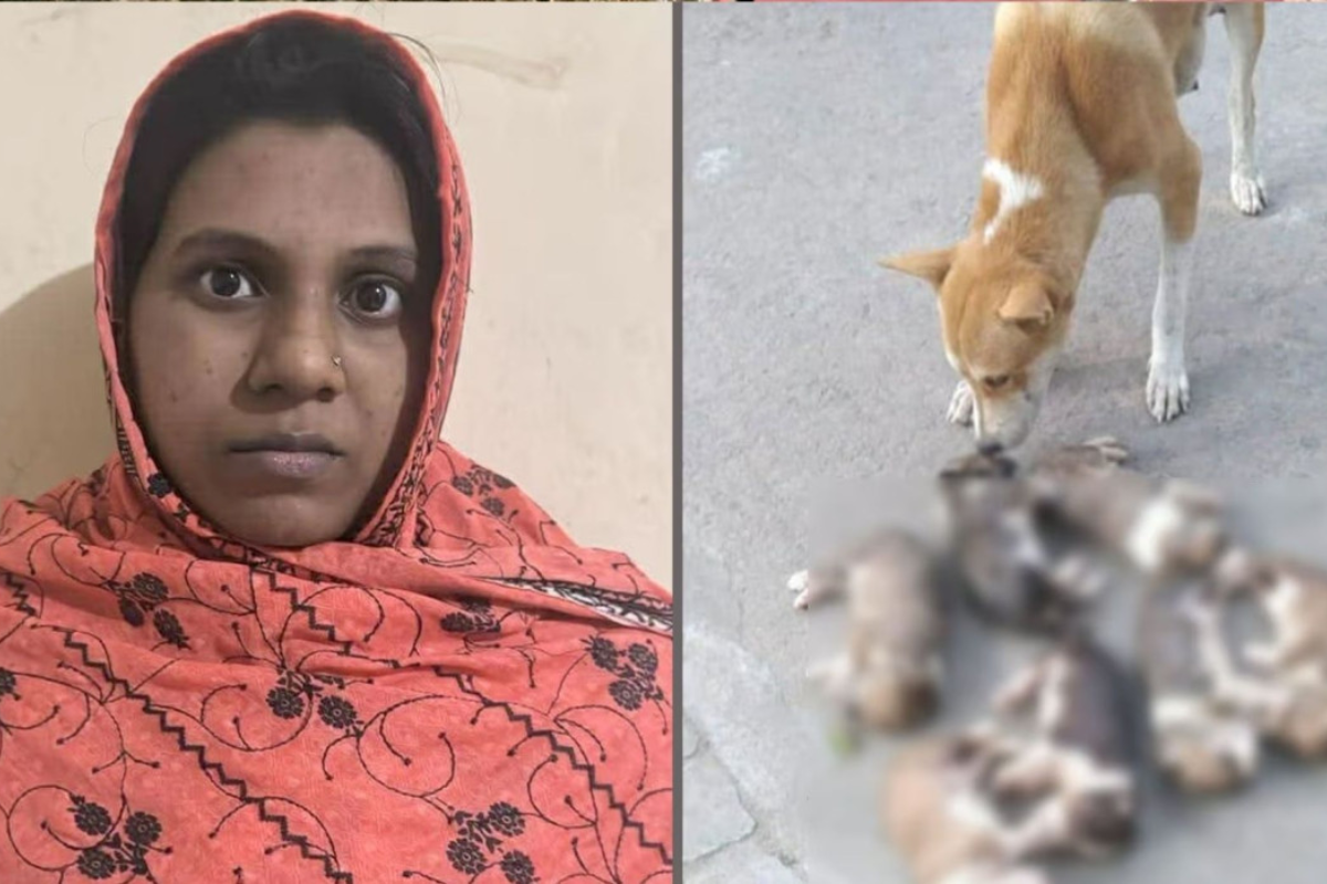 পাবনার ঈশ্বরদীতে ৮ কুকুরছানা হত্যা: অভিযুক্ত সরকারি কর্মকর্তার স্ত্রী গ্রেপ্তার