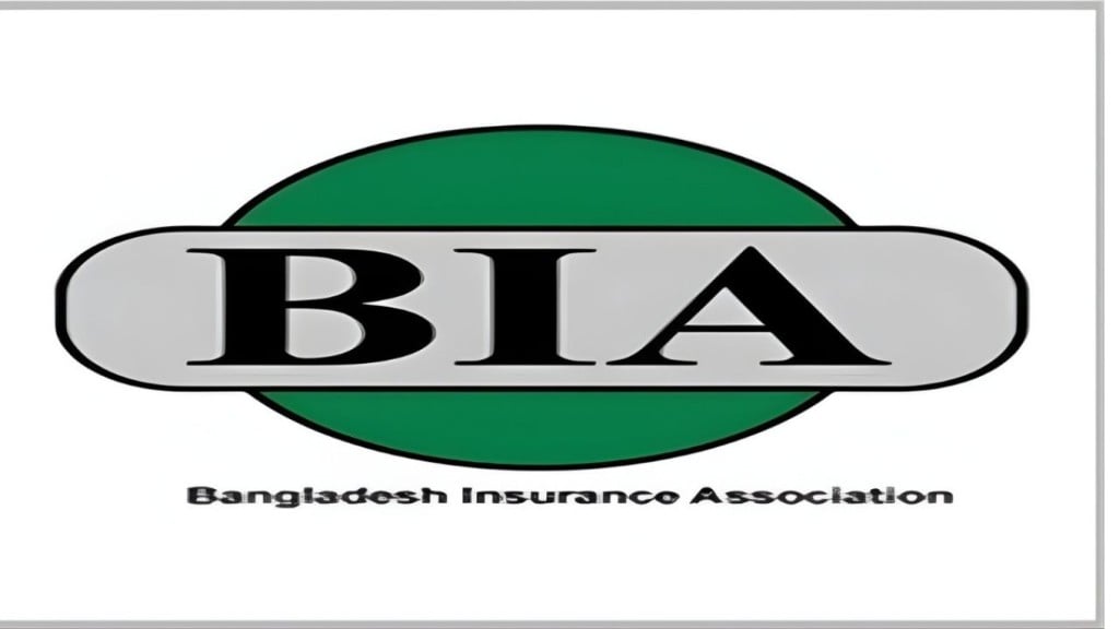 বীমা খাতে সম্পদের প্রবৃদ্ধি প্রিমিয়াম আয় ও বিনিয়োগে বৈচিত্র্য 1766520463 বীমা খাতে সম্পদের প্রবৃদ্ধি: প্রিমিয়াম আয় ও বিনিয়োগে বৈচিত্র্য