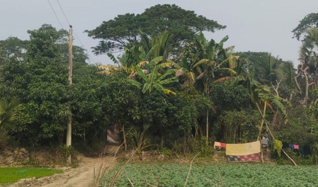 যে গ্রামে একটিই বাড়ি ৪৩ জনের মধ্যে ভোটার ২৪ জন 1766320622 যে গ্রামে একটিই বাড়ি, ৪৩ জনের মধ্যে ভোটার ২৪ জন