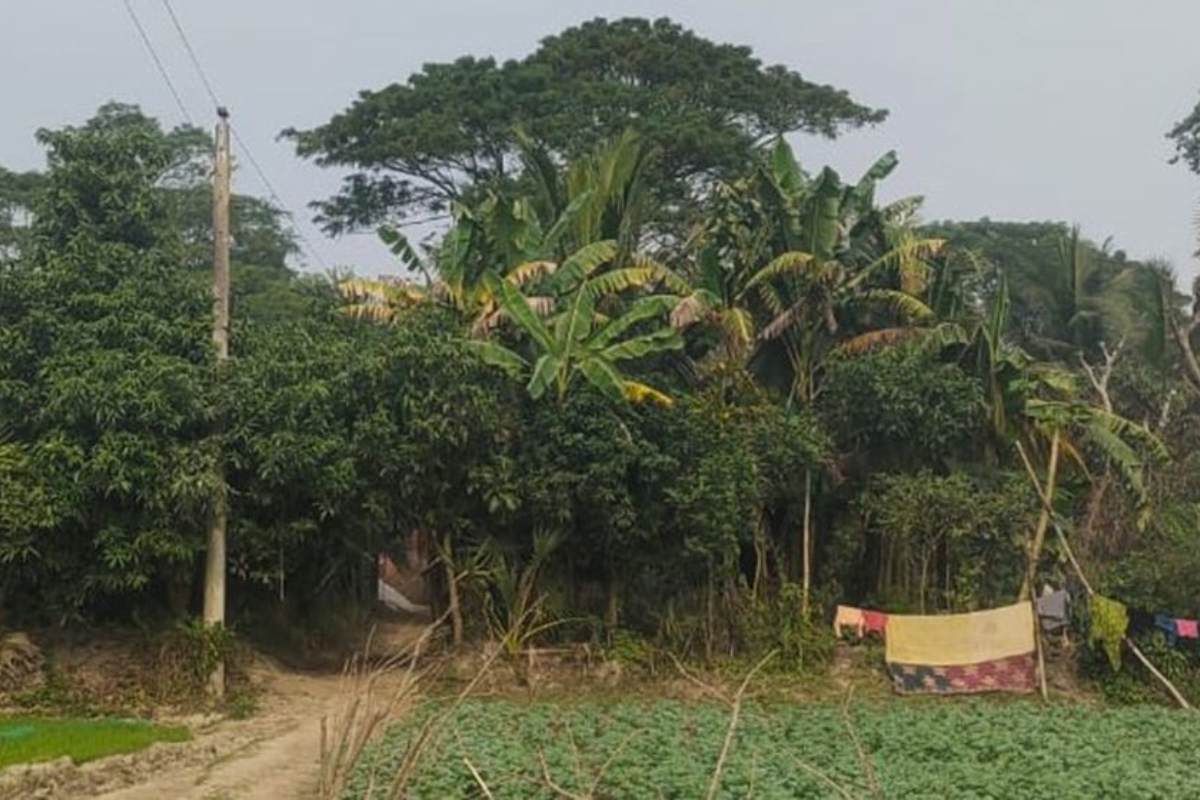 যে গ্রামে একটিই বাড়ি, ৪৩ জনের মধ্যে ভোটার ২৪ জন