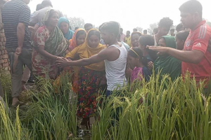 সন্ধ্যায় নিখোঁজ, পরদিন ধানক্ষেতে মিলল কিশোরের লাশ