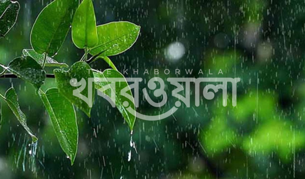 সারাদেশে গুঁড়ি গুঁড়ি বৃষ্টির সম্ভাবনা তাপমাত্রায় পরিবর্তনের ইঙ্গিত 1764596311 সারাদেশে গুঁড়ি গুঁড়ি বৃষ্টির সম্ভাবনা, তাপমাত্রায় পরিবর্তনের ইঙ্গিত