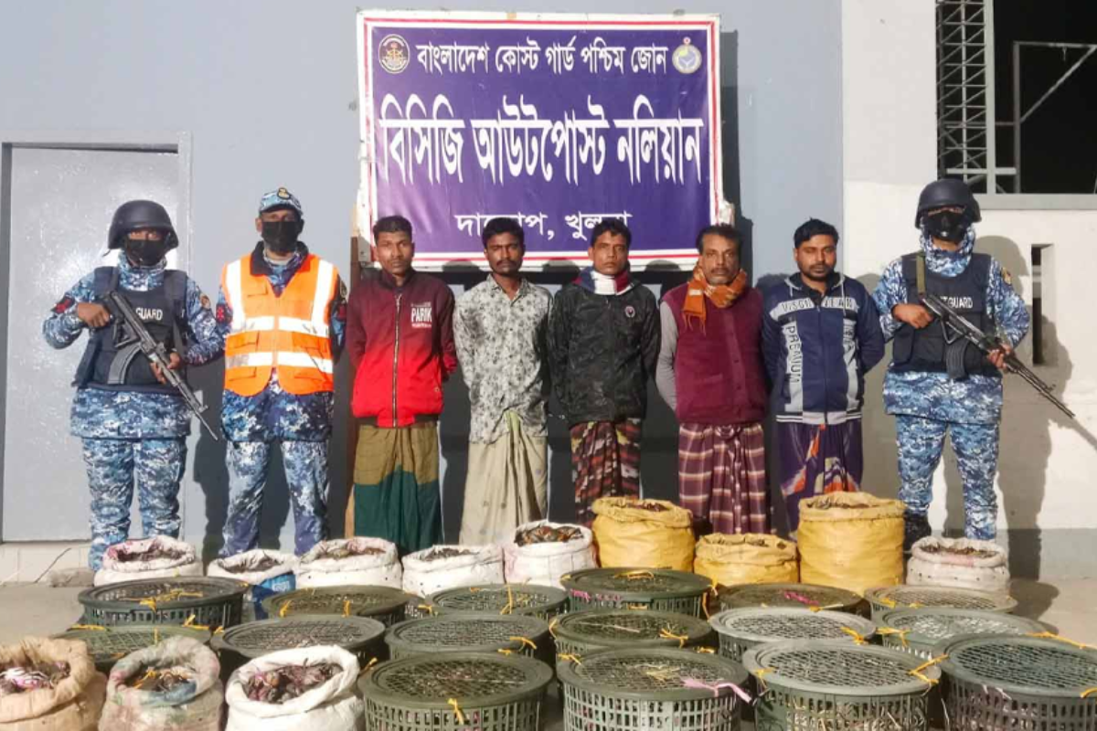 সুন্দরবন থেকে অবৈধ কাঁকড়া জব্দ ও ব্যবসায়ী আটক