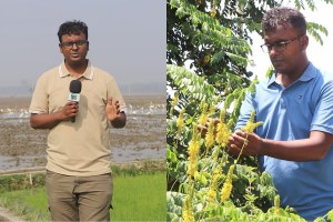 ওকালতি ছেড়ে কনটেন্ট ক্রিয়েশনে জুয়েল রানা