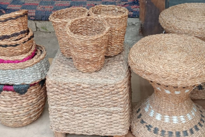 জলাশয়ের কচুরিপানা হয়ে উঠছে আয়ের উৎস