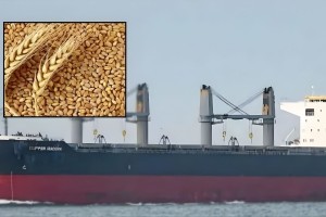 দেশে পৌঁছালো যুক্তরাষ্ট্র থেকে ৫৭,২০৩ মেট্রিক টন গম