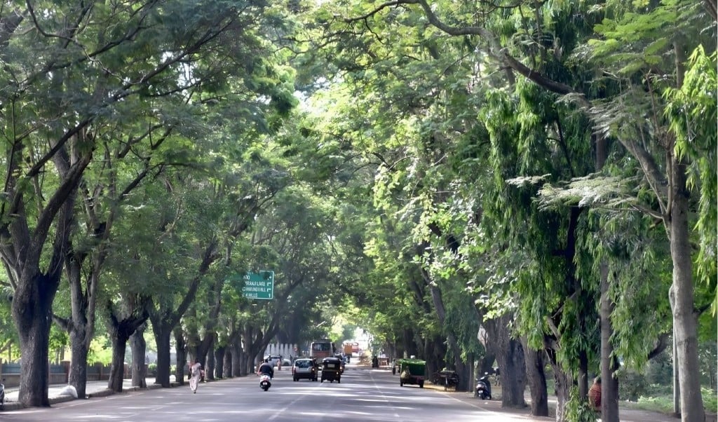 মন্ত্রিপাড়ায় থাকবেন শুধুমাত্র মন্ত্রীরা ৭১টি বাড়ি নির্ধারিত 1767767719 মন্ত্রিপাড়ায় থাকবেন শুধুমাত্র মন্ত্রীরা, ৭১টি বাড়ি নির্ধারিত
