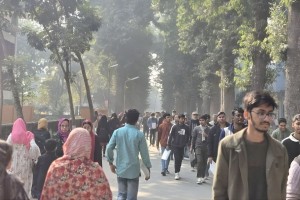 রাবিতে ভর্তি প্রতিযোগিতা আসনপ্রতি ৮২ জন