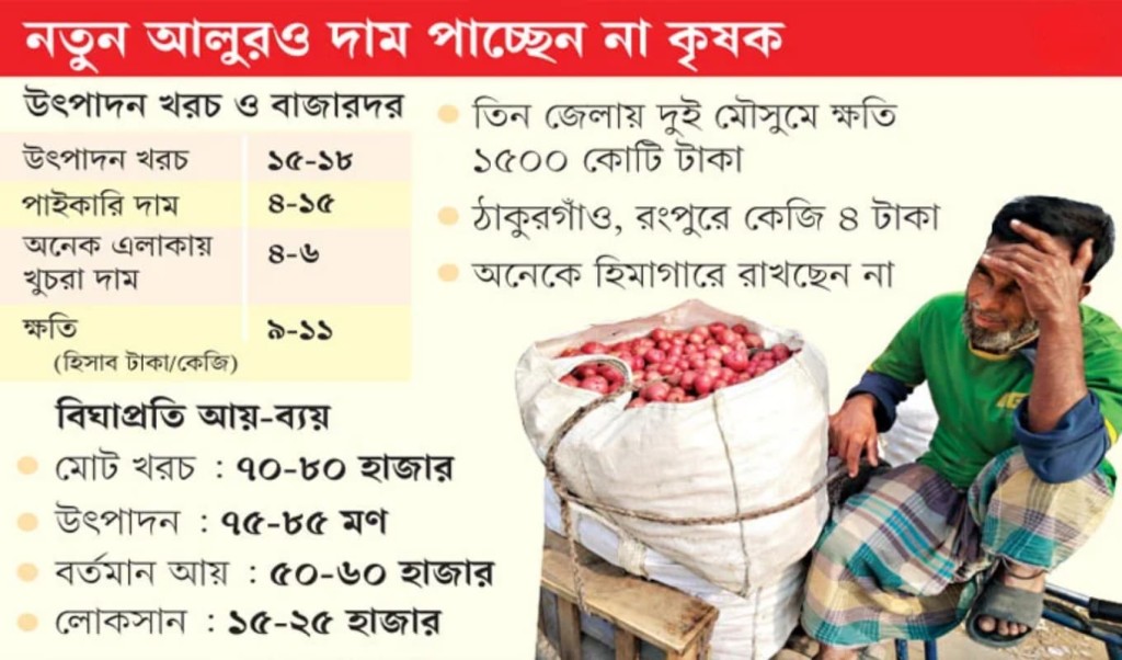 Untitled 2026 02 26T160427.102 আলু উৎপাদনে প্রণোদনার অভাবে চাষিরা ক্ষতির জালে