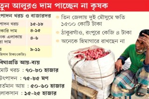আলু উৎপাদনে প্রণোদনার অভাবে চাষিরা ক্ষতির জালে