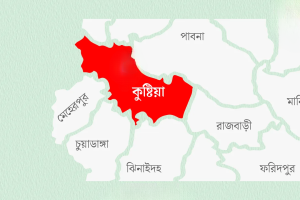 কুষ্টিয়ায় তীব্র গোলাগুলিতে তিনজন আহত