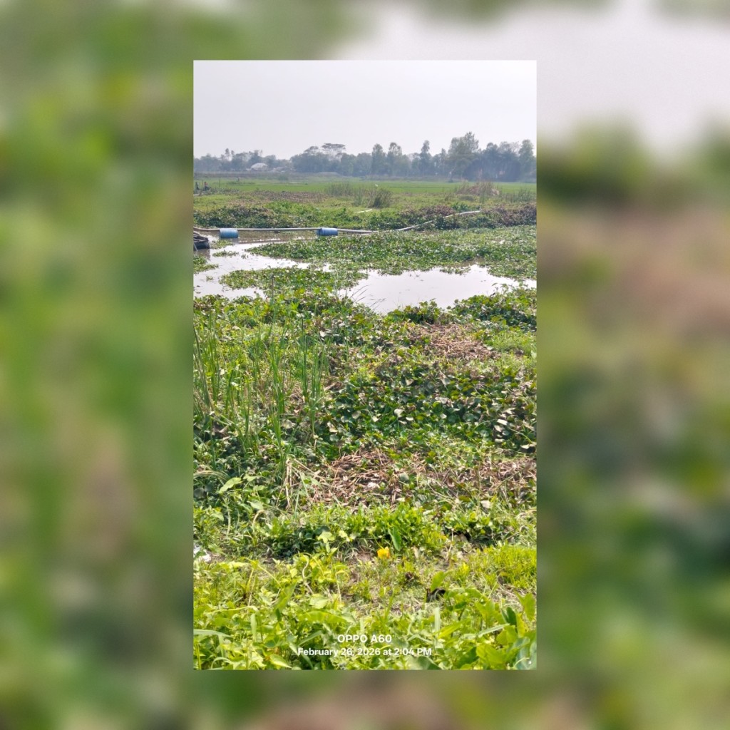 কোটালীপাড়া টুঙ্গিপাড়া এমপির আত্মীয় বিতর্ক কোটালীপাড়া-টুঙ্গিপাড়া এমপির আত্মীয় বিতর্ক