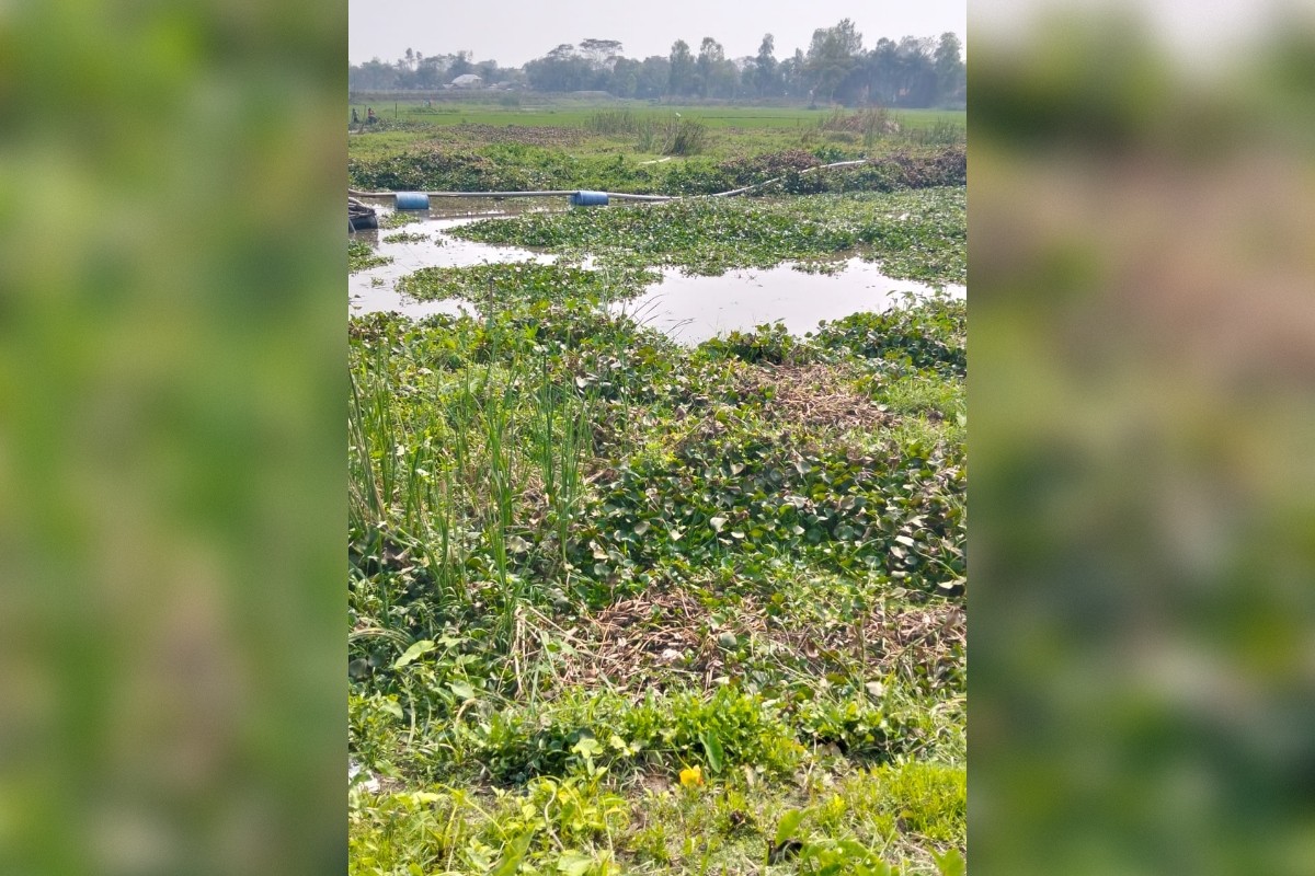 কোটালীপাড়া-টুঙ্গিপাড়া এমপির আত্মীয় বিতর্ক