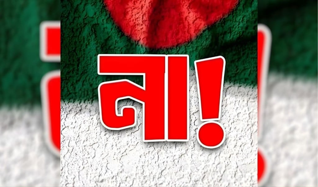 “চারটি আসনে জয়লাভ করেছে ‘না’ ভোট”