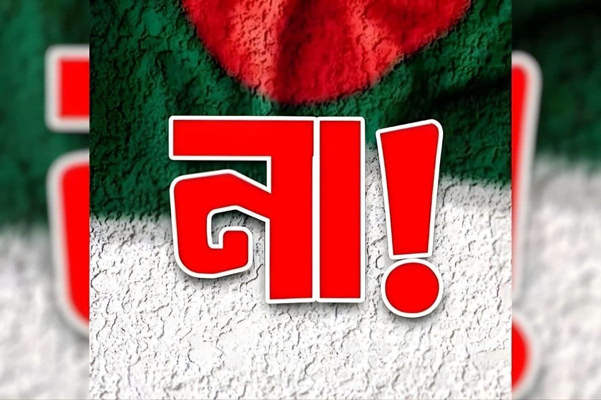 “চারটি আসনে জয়লাভ করেছে ‘না’ ভোট”
