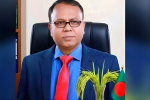 তিতাস ছাড়তে ইউএনওকে সতর্ক করলেন বিএনপির এমপি সেলিম ভূঁইয়া