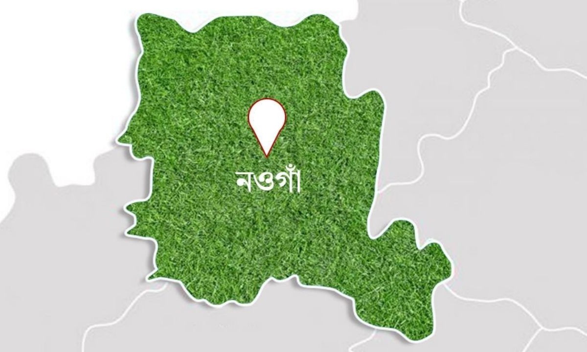নওগাঁয় খাসির বদলে কুকুরের মাংস বিক্রি, পলাতক দুই কসাই