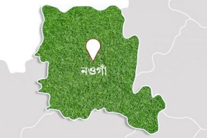 নওগাঁয় খাসির বদলে কুকুরের মাংস বিক্রি, পলাতক দুই কসাই