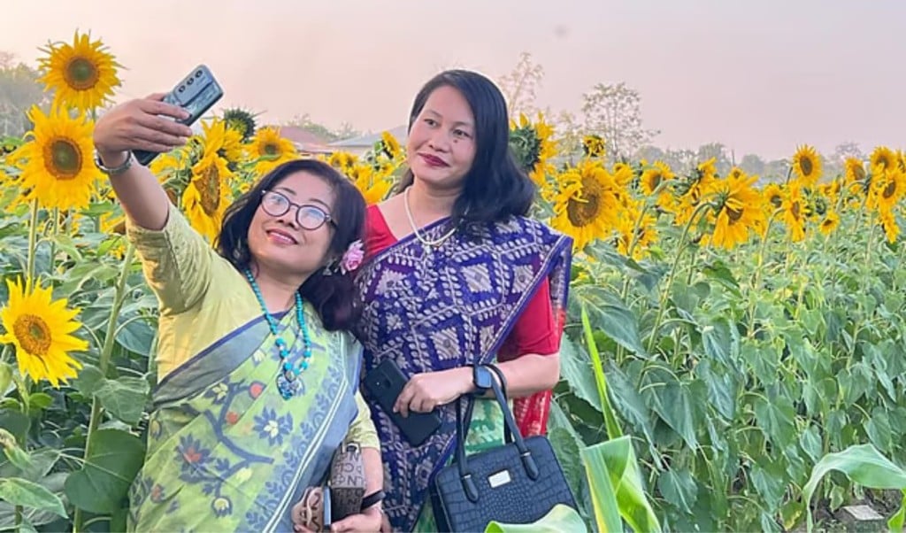 নদীর পাড়ে সূর্যমুখী বাগান দর্শনার্থী এবং কৃষকদের আয়