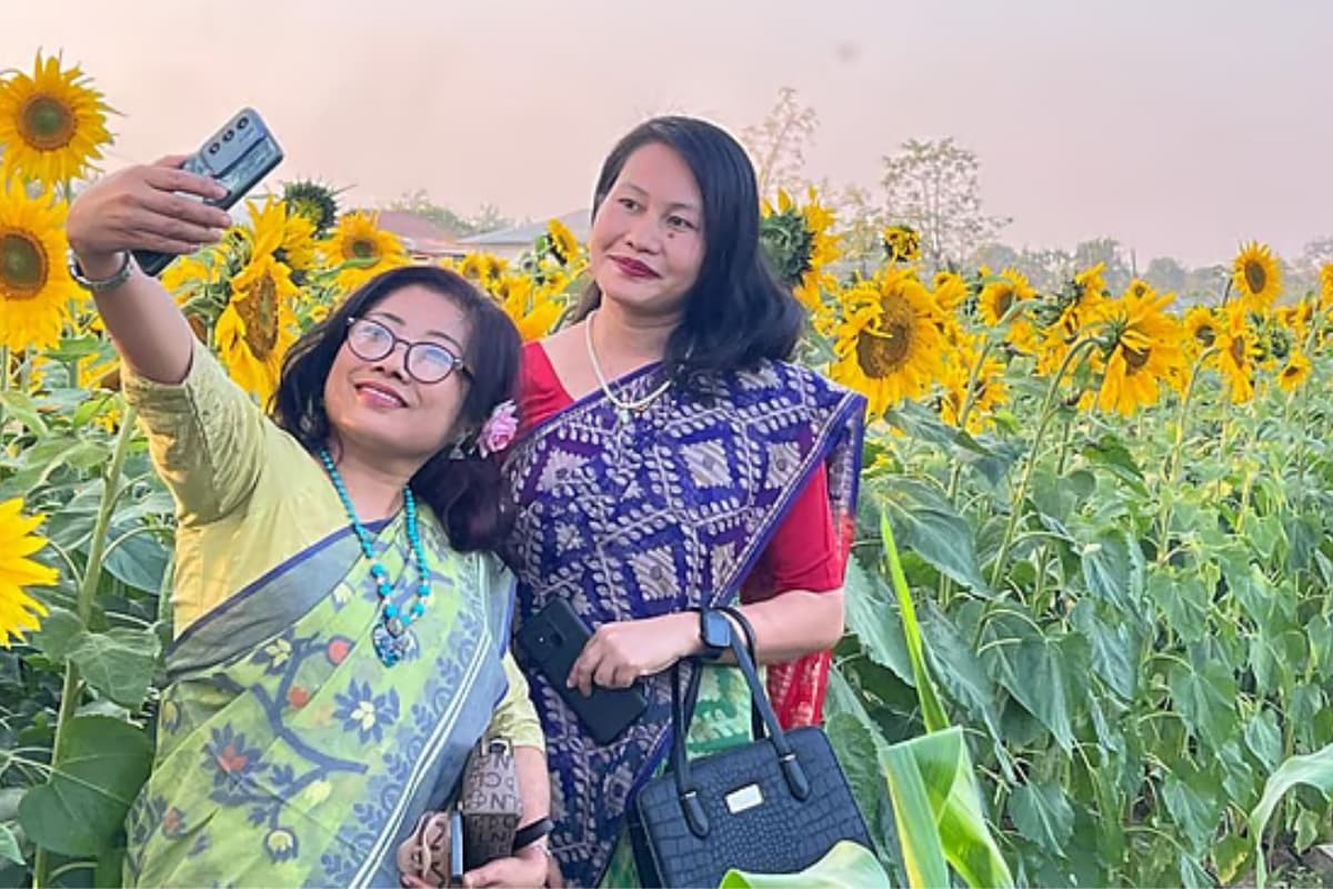 নদীর পাড়ে সূর্যমুখী বাগান: দর্শনার্থী এবং কৃষকদের আয়