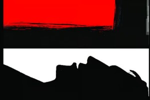 নোয়াখালীতে অটোরিকশা ছিনতাই ও কিশোর চালককে নৃশংস হত্যা