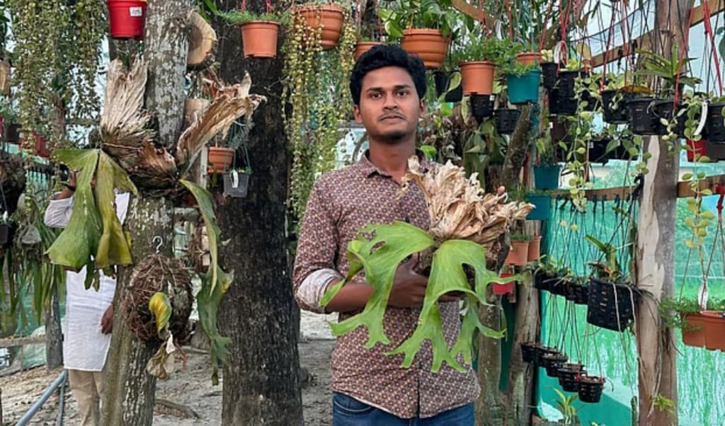 ফরমানের ছাদবাগান থেকে লাখাধিক আয়