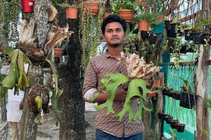 ফরমানের ছাদবাগান থেকে লাখাধিক আয়